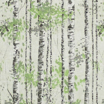 Birch Sage Curtains